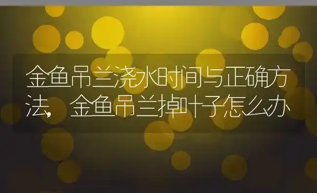 金鱼吊兰浇水时间与正确方法,金鱼吊兰掉叶子怎么办 | 养殖常见问题