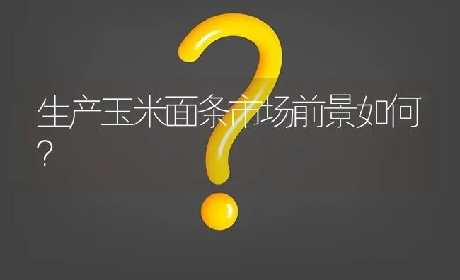 生产玉米面条市场前景如何? | 养殖问题解答