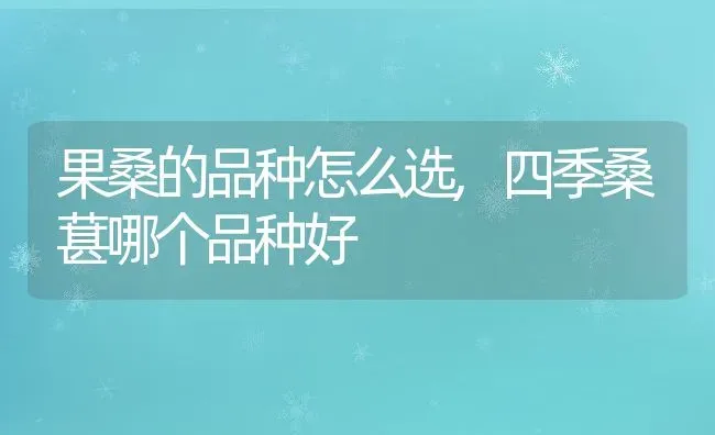 朱砂痣多肉怎么养出状态,高沙多肉的养殖方法 | 养殖常见问题