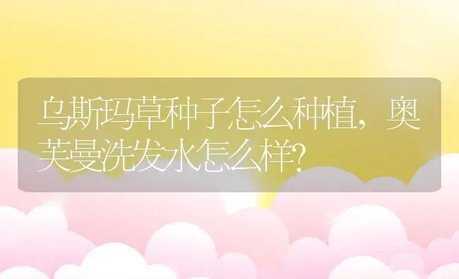 乌斯玛草种子怎么种植,奥芙曼洗发水怎么样？ | 养殖常见问题