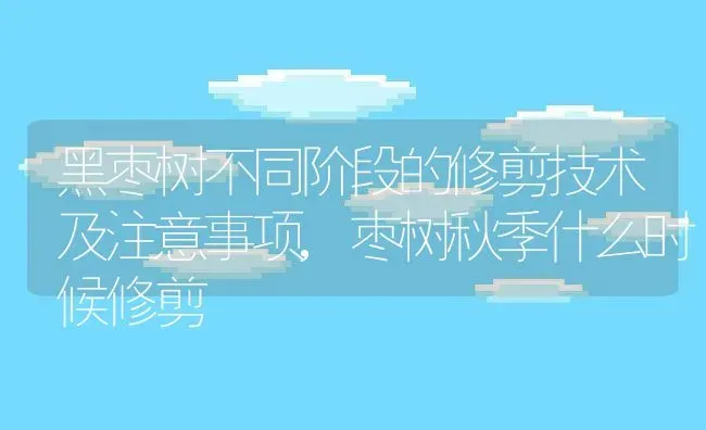 黑枣树不同阶段的修剪技术及注意事项,枣树秋季什么时候修剪 | 养殖常见问题