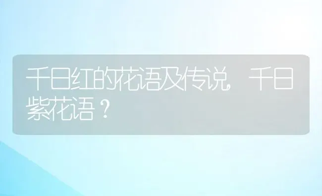 千日红的花语及传说,千日紫花语？ | 养殖常见问题