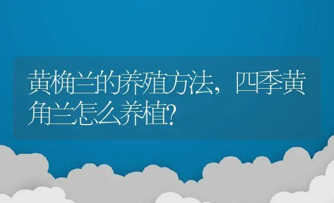 黄桷兰的养殖方法,四季黄角兰怎么养植？ | 养殖常见问题