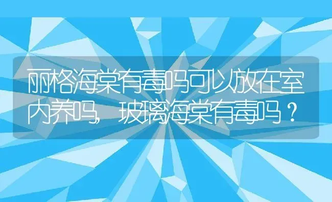 丽格海棠有毒吗可以放在室内养吗,玻璃海棠有毒吗？ | 养殖常见问题