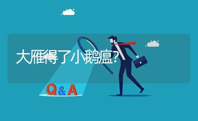 大雁得了小鹅瘟? | 养殖问题解答