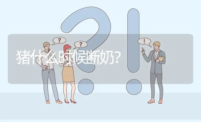 猪什么时候断奶? | 养殖问题解答