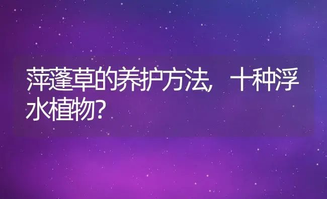 萍蓬草的养护方法,十种浮水植物？ | 养殖常见问题
