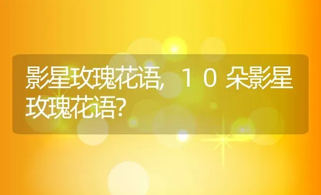 影星玫瑰花语,10朵影星玫瑰花语？ | 养殖常见问题