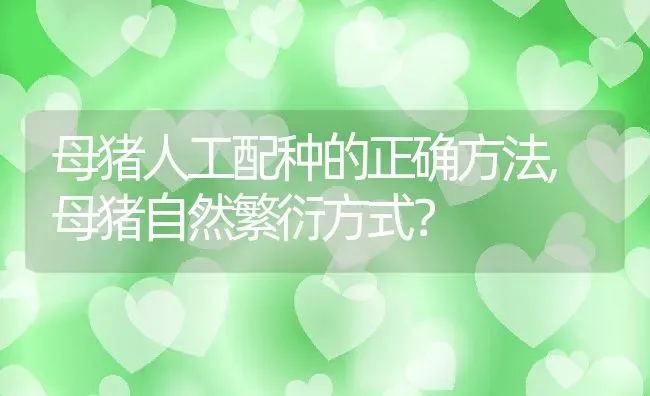 母猪人工配种的正确方法,母猪自然繁衍方式？ | 养殖常见问题