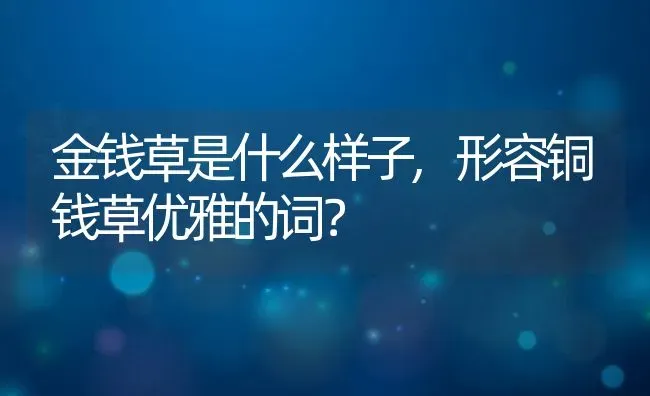 金钱草是什么样子,形容铜钱草优雅的词？ | 养殖常见问题