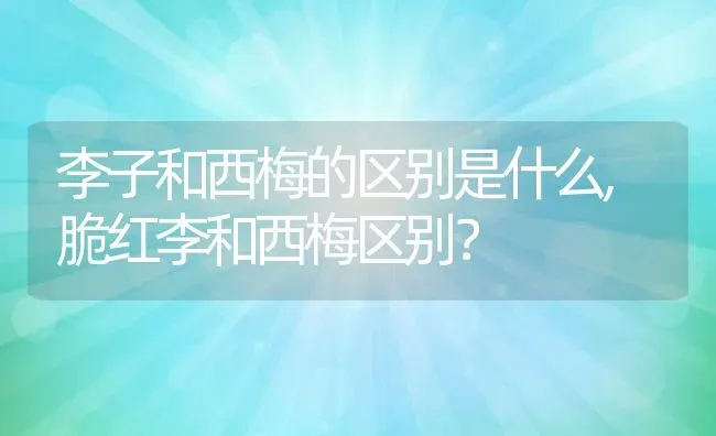 李子和西梅的区别是什么,脆红李和西梅区别？ | 养殖常见问题