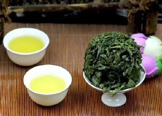 植物常识问题|铁观音属于什么茶种类别 有什么功效与作用