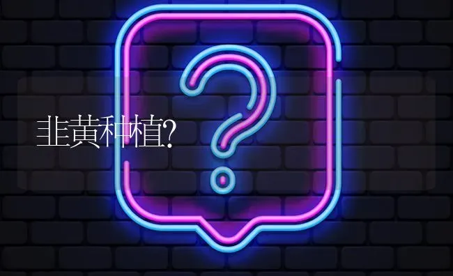 韭黄种植? | 养殖问题解答