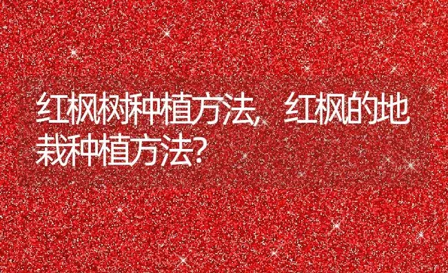 红枫树种植方法,红枫的地栽种植方法？ | 养殖常见问题