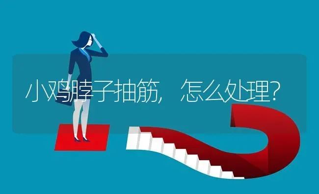 小鸡脖子抽筋,怎么处理? | 养殖问题解答