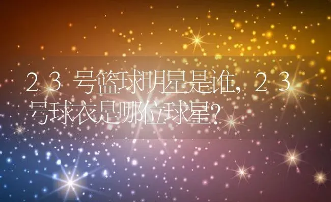 23号篮球明星是谁,23号球衣是哪位球星？ | 养殖常见问题