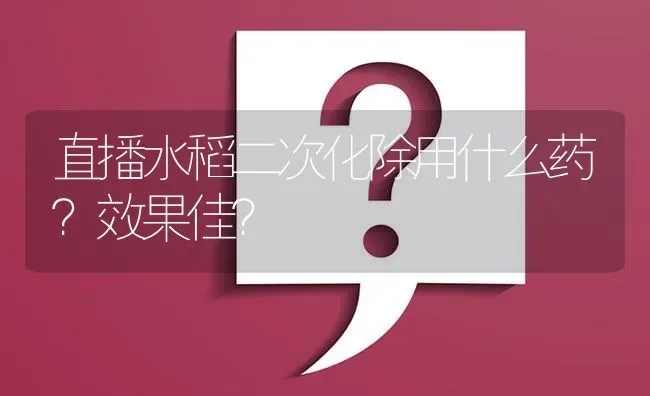 直播水稻二次化除用什么药?效果佳? | 养殖问题解答