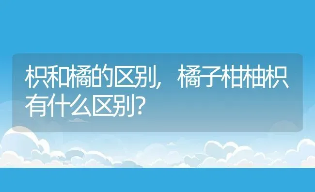 枳和橘的区别,橘子柑柚枳有什么区别？ | 养殖常见问题