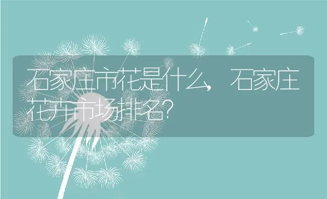 石家庄市花是什么,石家庄花卉市场排名？ | 养殖常见问题