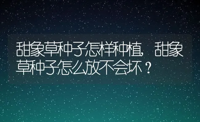 甜象草种子怎样种植,甜象草种子怎么放不会坏？ | 养殖常见问题