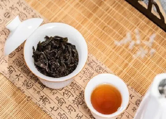 植物常识问题|肉桂属于什么茶类 正岩肉桂茶属于红茶还是绿茶