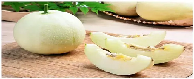 怎样挑选甜瓜更甜 | 生活常识