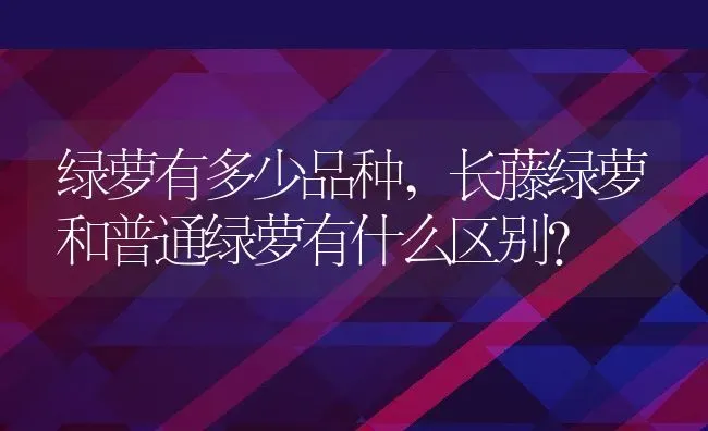 绿萝有多少品种,长藤绿萝和普通绿萝有什么区别？ | 养殖常见问题