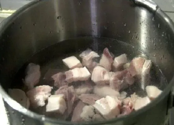 植物常识问题|肉汤养护三角梅的方法