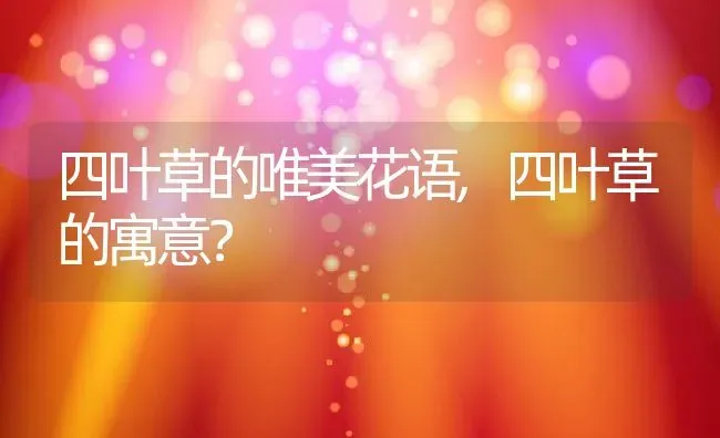 四叶草的唯美花语,四叶草的寓意？ | 养殖常见问题