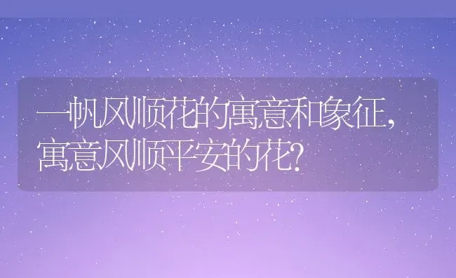 一帆风顺花的寓意和象征,寓意风顺平安的花？ | 养殖常见问题