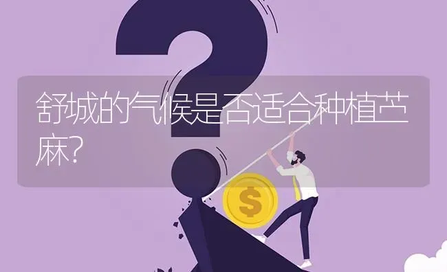 舒城的气候是否适合种植苎麻? | 养殖问题解答