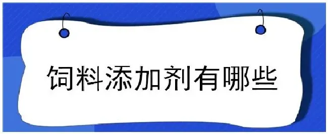 饲料添加剂有哪些 | 三农问答