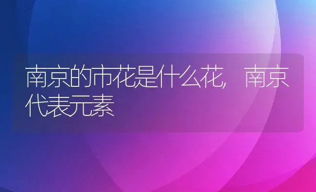 南京的市花是什么花,南京代表元素 | 养殖常见问题