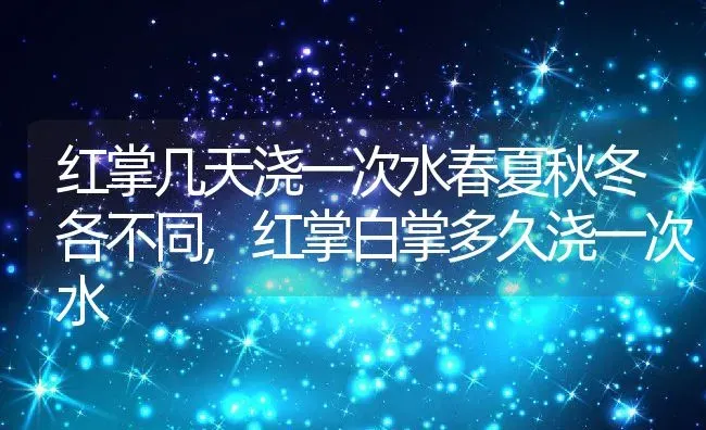 大花盆适合养什么花,大口花盆适合栽哪种花？ | 养殖常见问题