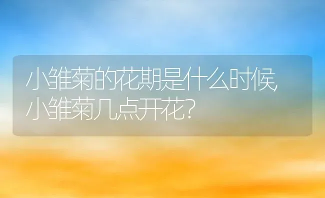 小雏菊的花期是什么时候,小雏菊几点开花？ | 养殖常见问题