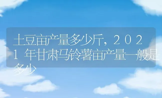 土豆亩产量多少斤,2021年甘肃马铃薯亩产量一般是多少 | 养殖常见问题