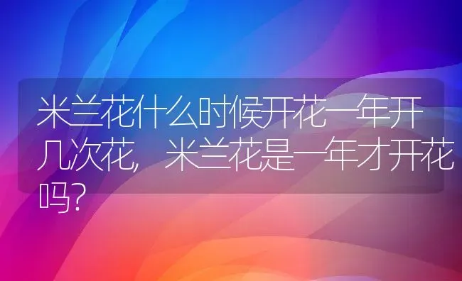 米兰花什么时候开花一年开几次花,米兰花是一年才开花吗？ | 养殖常见问题