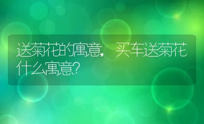 送菊花的寓意,买车送菊花什么寓意？ | 养殖常见问题