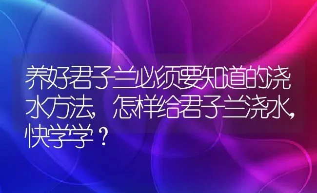 养好君子兰必须要知道的浇水方法,怎样给君子兰浇水，快学学？ | 养殖常见问题