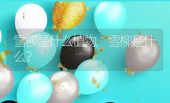 菊花怎么养盆栽,菊花栽培和繁殖方法? | 养殖常见问题