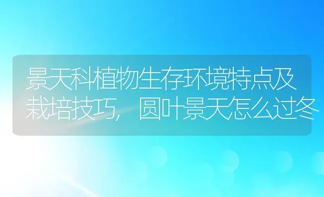景天科植物生存环境特点及栽培技巧,圆叶景天怎么过冬 | 养殖常见问题