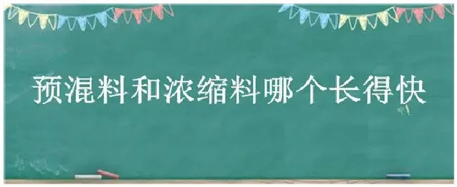 预混料和浓缩料哪个长得快 | 三农问答