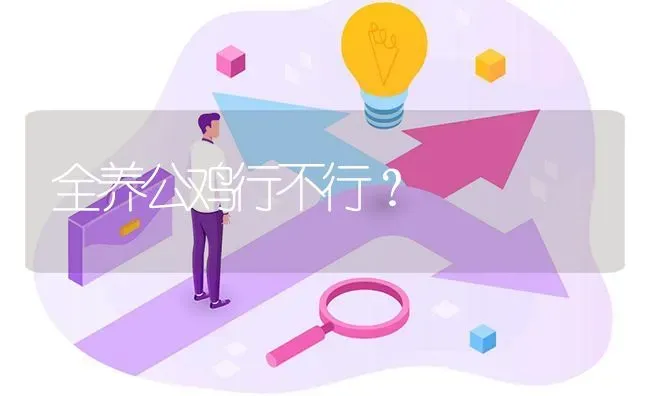 全养公鸡行不行? | 养殖问题解答