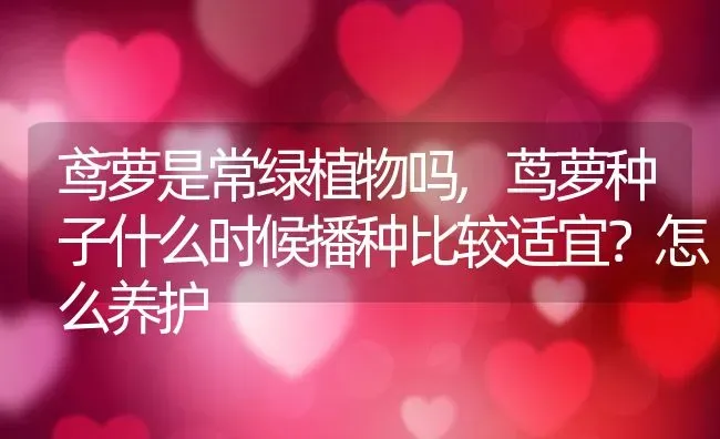 鸢萝是常绿植物吗,茑萝种子什么时候播种比较适宜？怎么养护 | 养殖常见问题