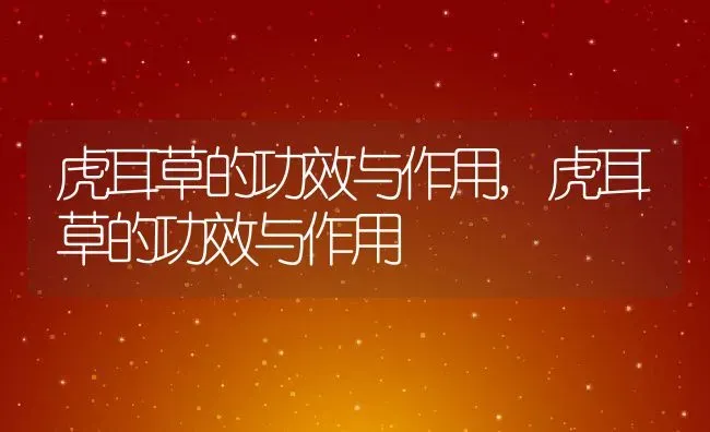 蓝莓是树吗长什么样子,蓝莓是长在树上还是在长在灌木丛丛里？ | 养殖常见问题