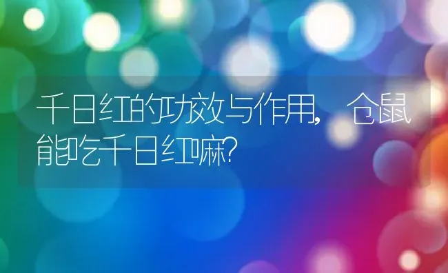 千日红的功效与作用,仓鼠能吃千日红嘛？ | 养殖常见问题