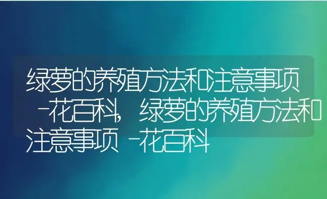 绿萝的养殖方法和注意事项–花百科,绿萝的养殖方法和注意事项–花百科 | 养殖常见问题