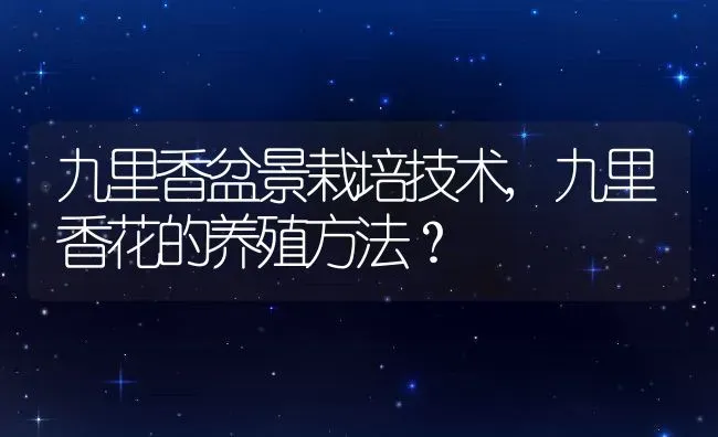 九里香盆景栽培技术,九里香花的养殖方法？ | 养殖常见问题