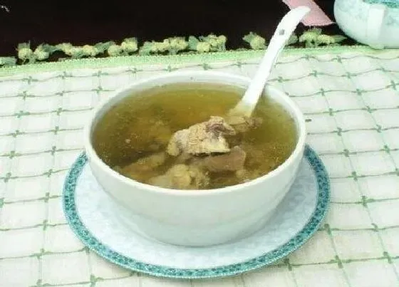 植物常识问题|肉汤养护三角梅的方法