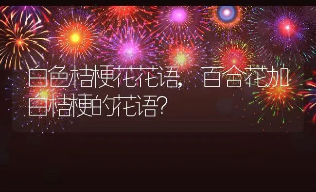 白色桔梗花花语,百合花加白桔梗的花语？ | 养殖常见问题